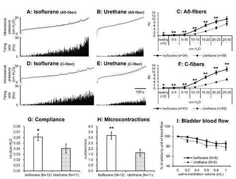 Effects of isoflurane and urethane anesthetics on glutamate 